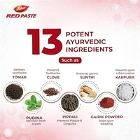 Dabur Red Toothpaste | World's No.1 Ayurvedic Paste | Provides Germ Protection, Cavity Protection, Plaque Removal | Prevents Gum Bleeding, Yellow Teeth, Toothache, Bad Breath