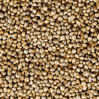 Jowar And Bajra Mix Bhakri Flour  - 5 Kg