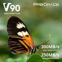 PRO GRADE ProGrade Digital SDXC UHS-II V90 Memory Card (128GB), Silver, (Secure-Digital-Cards)
