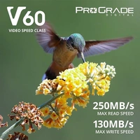 ProGrade Digital SDXC V60 UHS-II 128 GB SDXC Class 10 250 MB/s Memory Card