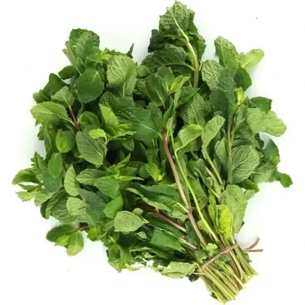 Mint - 1 Bunch