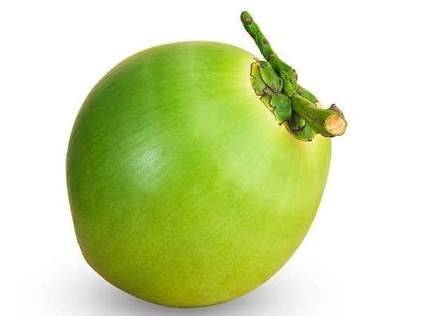 Tender Coconut - 1 Piece