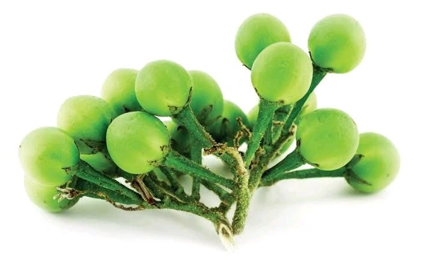 Candygourd - 1 Kg