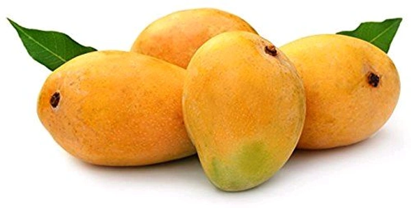 Banganapalli Mango - 1 Kg