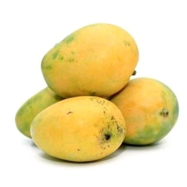 Banganapalli Mango - 500g