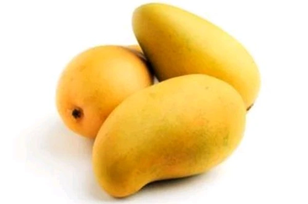 Malkova Mango - 500g