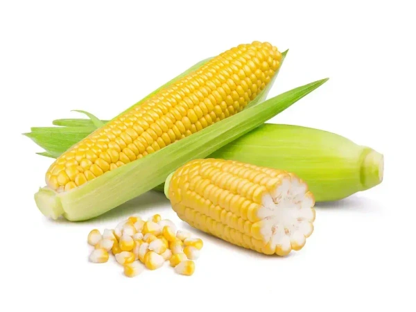 Sweet Corn - 1 Kg