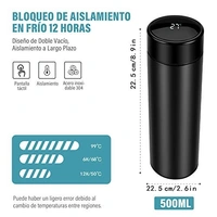 Temperature bottle