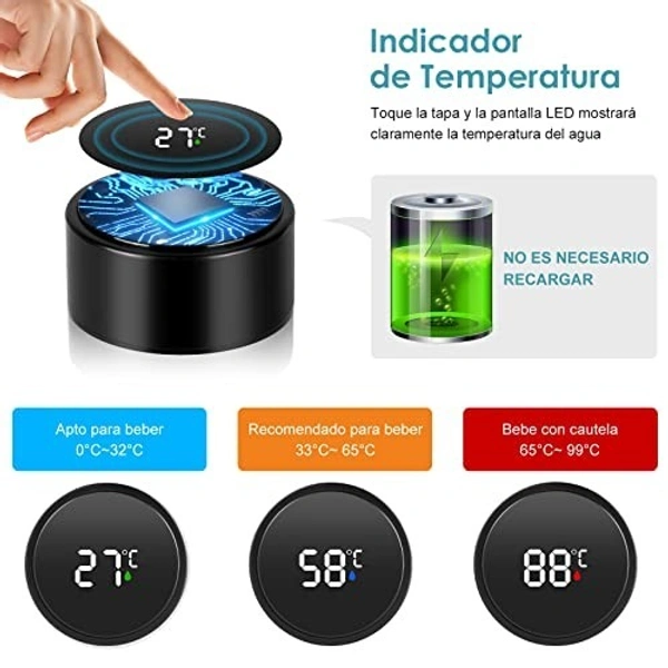 Temperature bottle