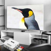 HDMI to AV (MINI)               