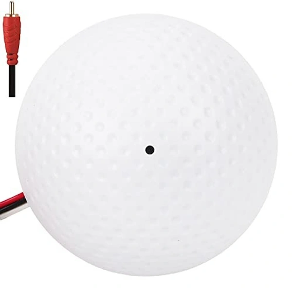Round mic