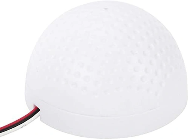 Round mic