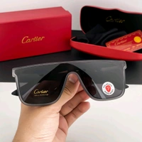 Enhance Your Look with Quality Sunglasses
