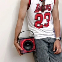 Portable Bluetooth Speaker Dynamic Sound with 2 wireless mics Karaoke 15 W Bluetooth Speaker (Stereo Channel) - Black