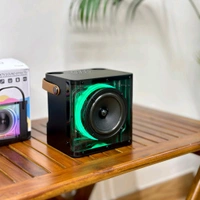 Portable Bluetooth Speaker Dynamic Sound with 2 wireless mics Karaoke 15 W Bluetooth Speaker (Stereo Channel)