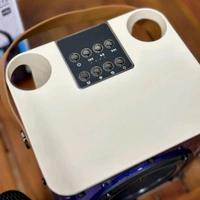 Portable Bluetooth Speaker Dynamic Sound with 2 wireless mics Karaoke 15 W Bluetooth Speaker (Stereo Channel)