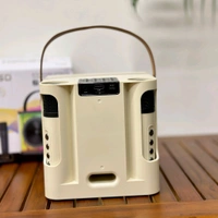 Portable Bluetooth Speaker Dynamic Sound with 2 wireless mics Karaoke 15 W Bluetooth Speaker (Stereo Channel)