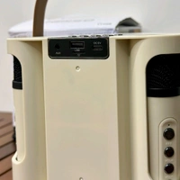 Portable Bluetooth Speaker Dynamic Sound with 2 wireless mics Karaoke 15 W Bluetooth Speaker (Stereo Channel)