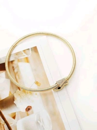 Elegant Snack Hasli Nacklace - Gold