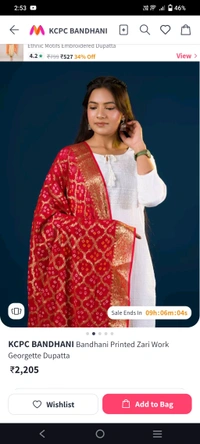 Ethnic Banarasi Pure Georgette Handloom Hand Made Traditional Zari Work Bandhani Dupatta  - Guardsman Red, 2.5