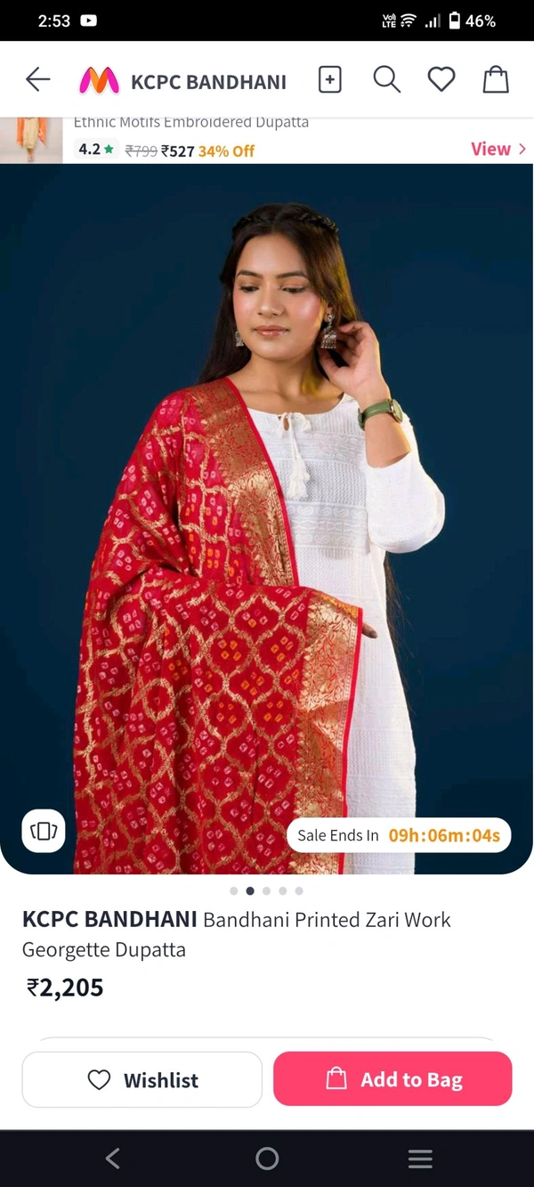 Ethnic Banarasi Pure Georgette Handloom Hand Made Traditional Zari Work Bandhani Dupatta  - Guardsman Red, 2.5