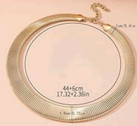 Elegance Anti Tarnish Hasli Necklace  - Gold