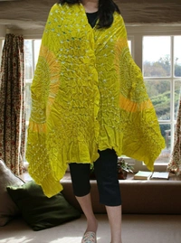 Handloom Hand Made Tie And Dye Bandhni Dupatta  - Golden Fizz