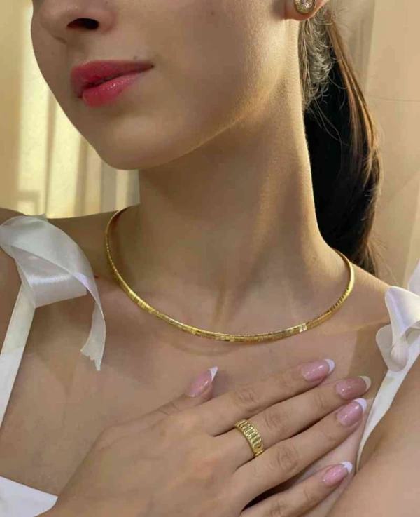 Stainless Steel Torques, Collar Necklace For Women, Round Snake Chain Vantage Jewelry
