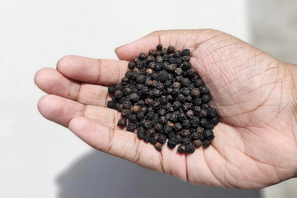 Black Pepper 100gms