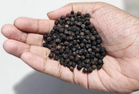 Black Pepper 250gms