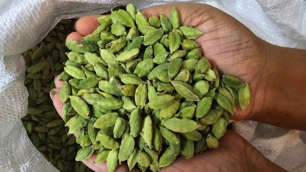 Cardamom 200gms