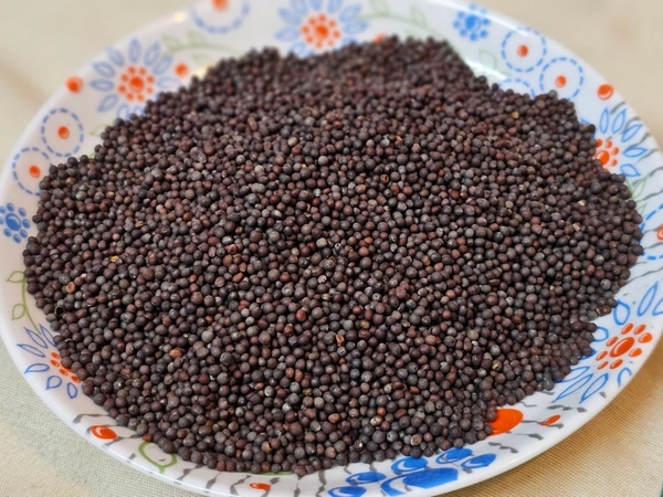 Kadugu Mustard Seeds 250gms