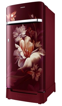Samsung 189L 5 Star Inverter Direct-Cool Single Door Refrigerator Appliance (RR21C2H25RZ/HL,Midnight Blossom Red) Base Stand Drawer - RR21C2H25RZ