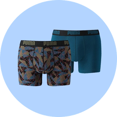 Men's Brief/Undergarments