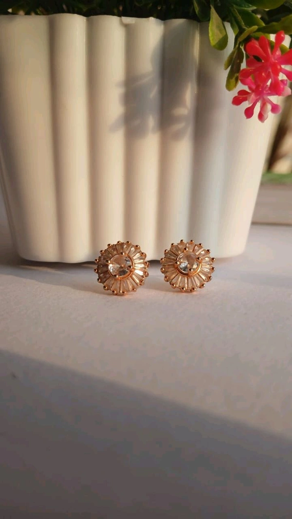 Stone Earrings 
