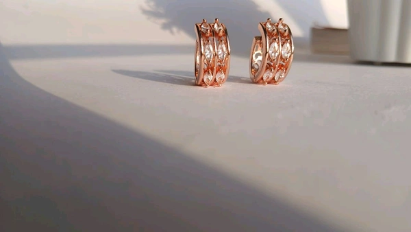 Stone Earrings 