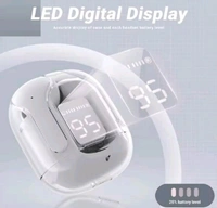 Wireless Earbuds with LED Display Case, Digital Battery Indicator