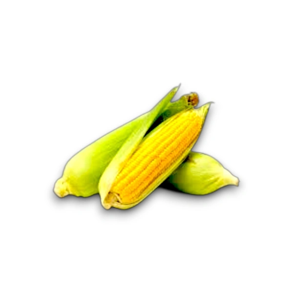 Corn Cob (Bhutta) - 2 pieces (400-500 g)