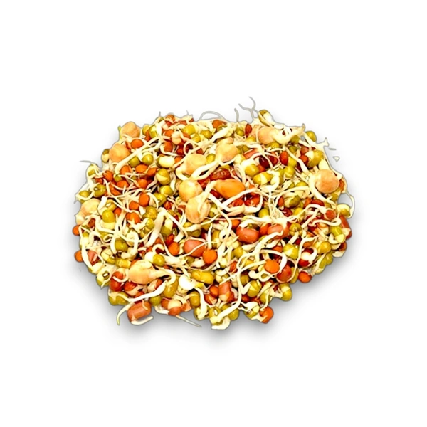 Mixed Sprouts - 200 g