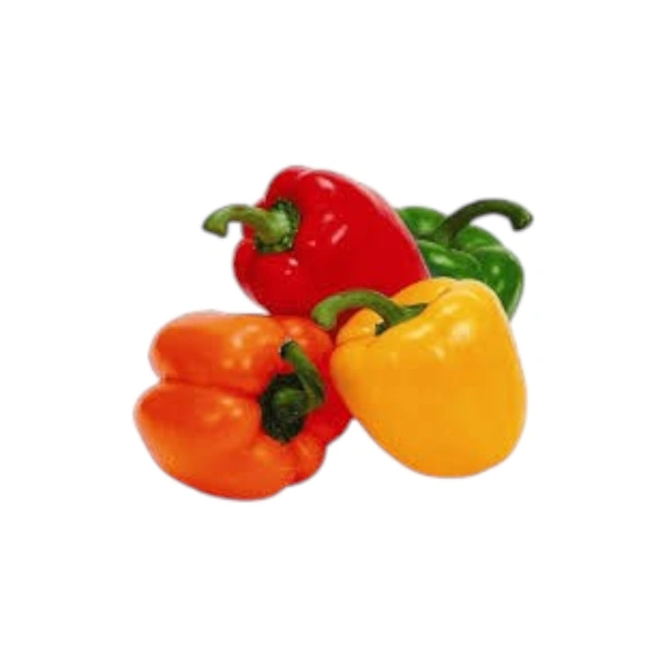 Red & Yellow Bell Pepper - 2 Pisces