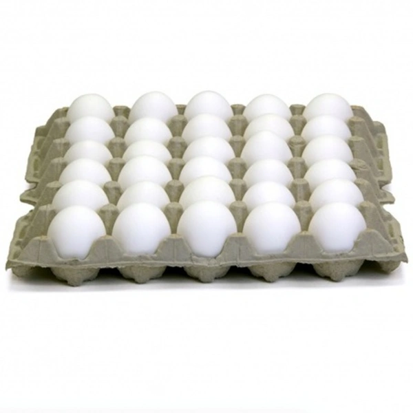 Egg ( ডিম ) - 10 piece