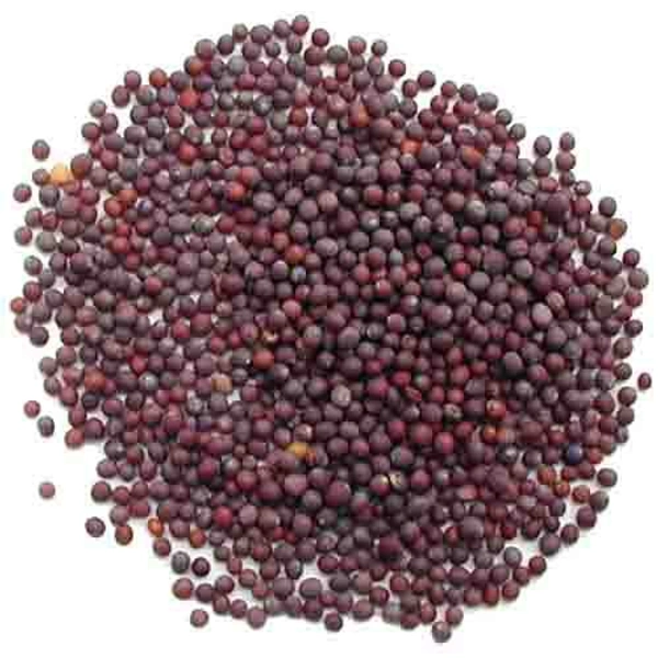 Kalo Sorse ( কালো সরষে ) - 50gm