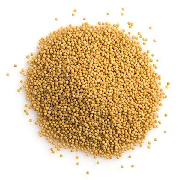 Sada Sorse ( সাদা সরষে ) - 50gm