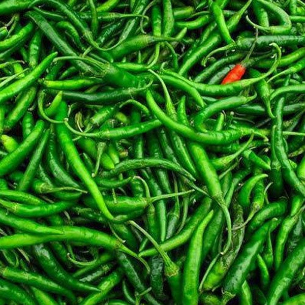 Green Chilli ( কাঁচা লঙ্কা ) - 250