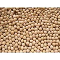 Matar/Peas