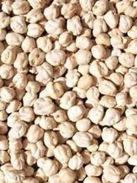 Chola Doller Safed Chana/White Peas