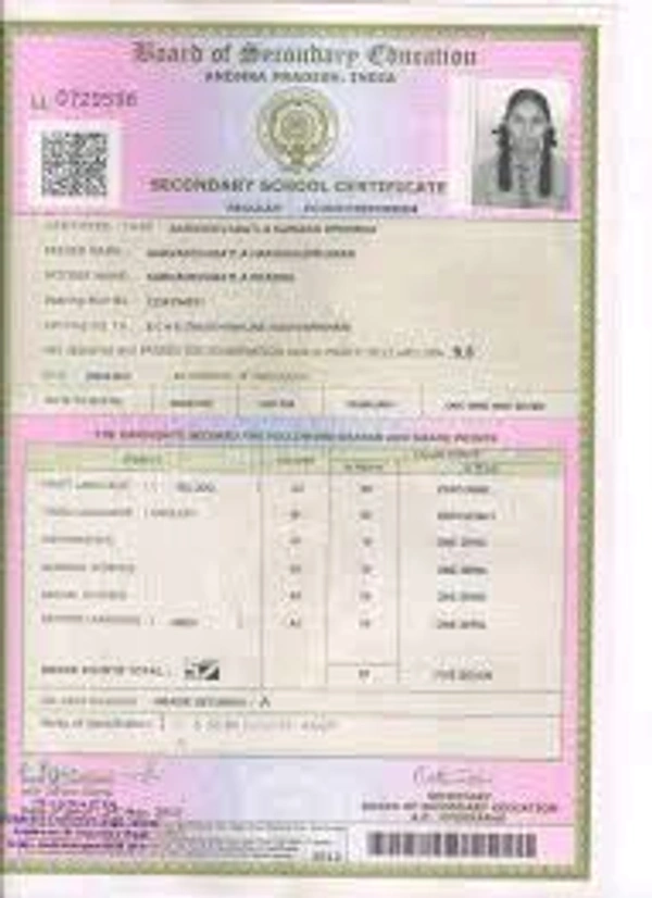 All Types Of School Cirtificate Forgot To Made Duplicate Done Here's 