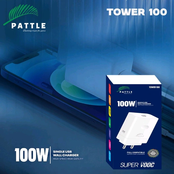 100W Chargers 