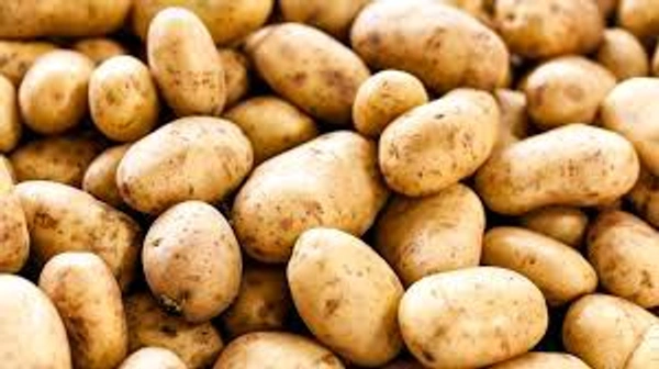 POTATO 