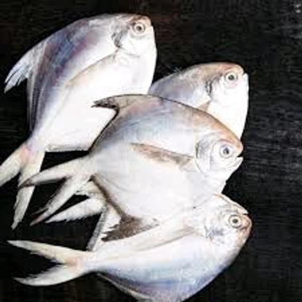 POPLET (வவ்வால்) 